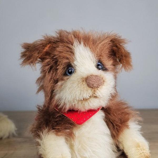 Sheltie Puppy