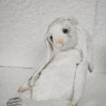 White Bunny