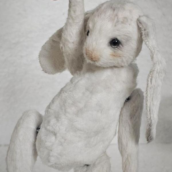 White Bunny