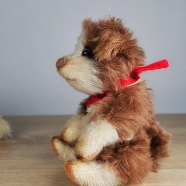Sheltie Puppy