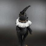 Black Rabbit