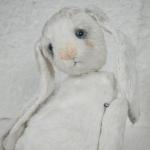 White Bunny