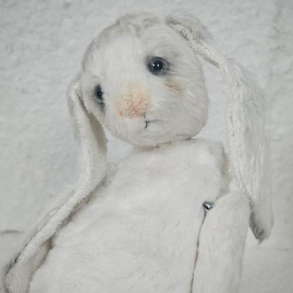 White Bunny